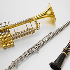 星空体育
管弦类电子乐器产品保修规定